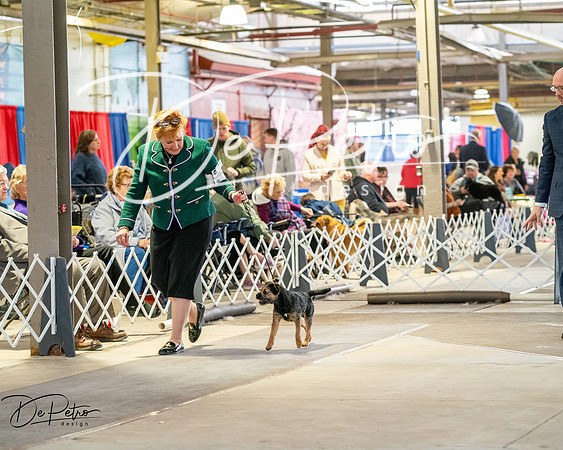 20260328-DSC06215