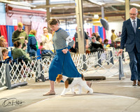 20260328-DSC06168