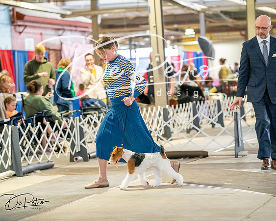 20260328-DSC06168
