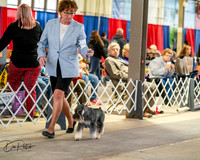 20260328-DSC06131