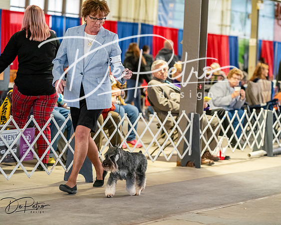20260328-DSC06131