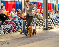 20260328-DSC06244