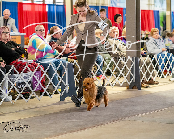 20260328-DSC06244