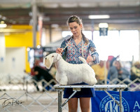 20260328-DSC06269