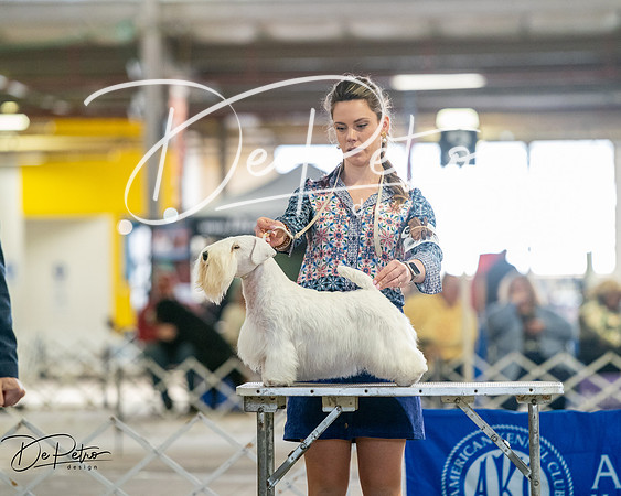 20260328-DSC06273