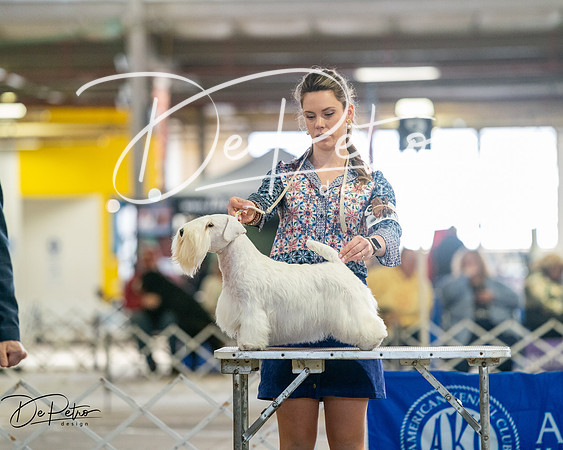 20260328-DSC06275