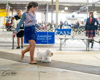 20260328-DSC06280