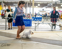 20260328-DSC06282