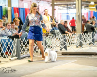 20260328-DSC06295