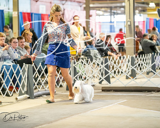 20260328-DSC06295