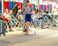 20260328-DSC06319