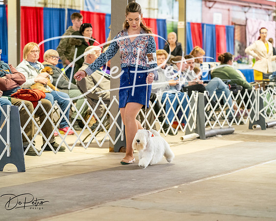 20260328-DSC06319
