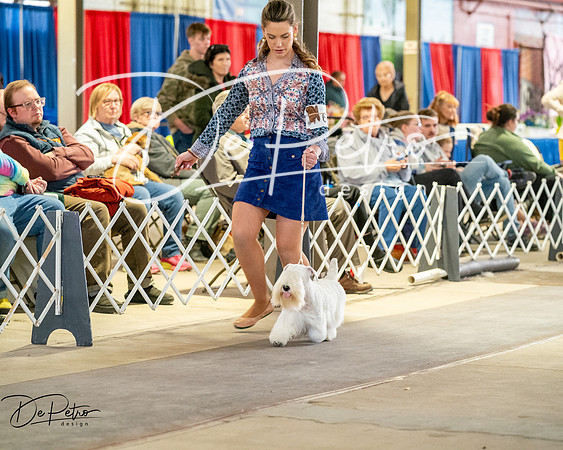 20260328-DSC06322