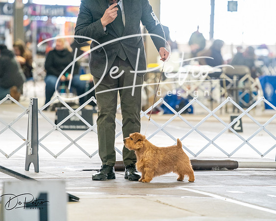 20260328-DSC06335