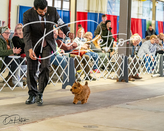 20260328-DSC06379