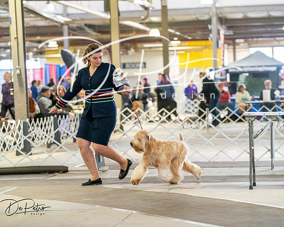 20260328-DSC06429