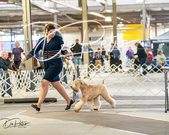 20260328-DSC06433