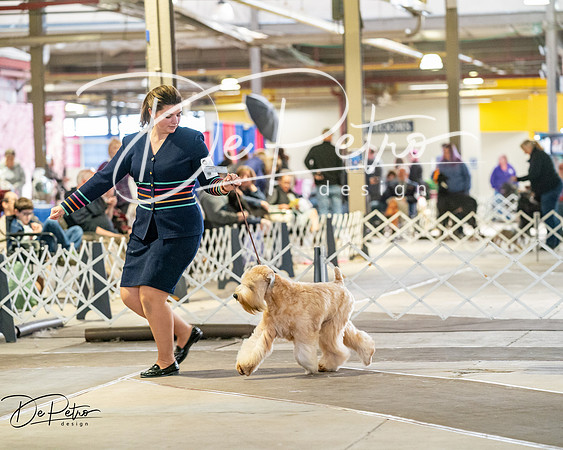 20260328-DSC06437