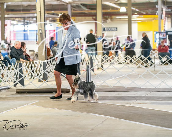 20260328-DSC06463