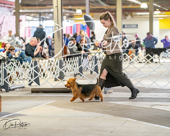 20260328-DSC06494