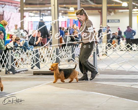 20260328-DSC06497