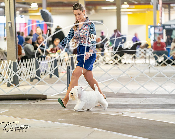 20260328-DSC06507