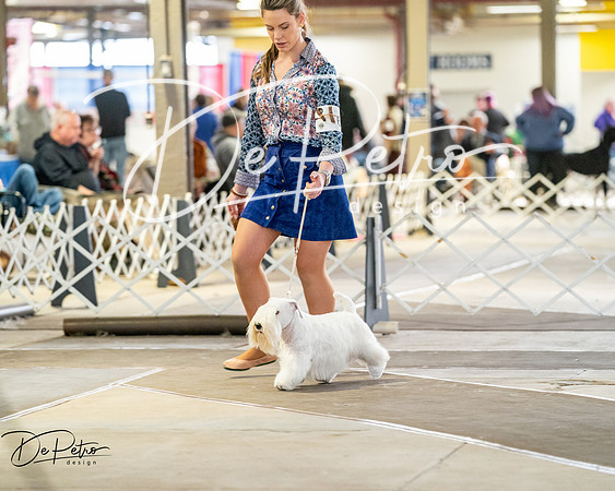 20260328-DSC06513