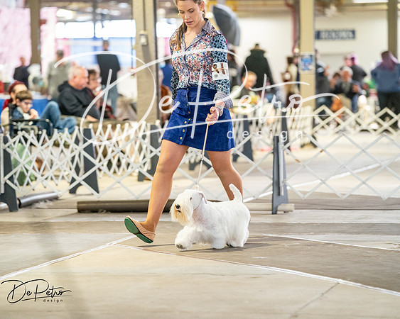 20260328-DSC06515