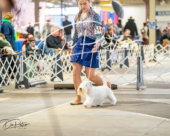 20260328-DSC06518