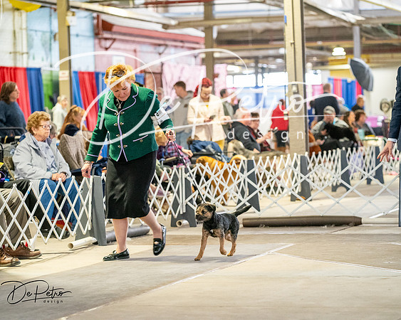 20260328-DSC06207