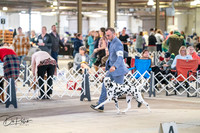 20260328-DSC06548