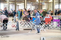 20260328-DSC06544