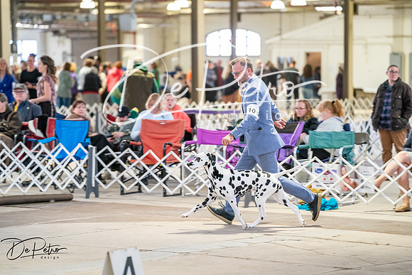 20260328-DSC06535