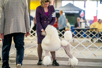20260328-DSC06650