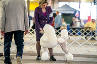 20260328-DSC06651