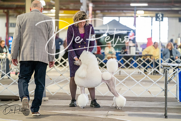 20260328-DSC06652