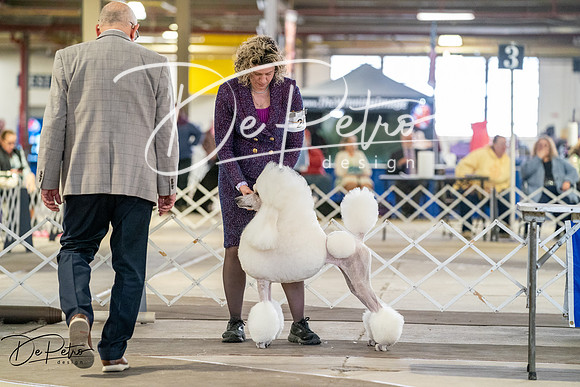 20260328-DSC06653
