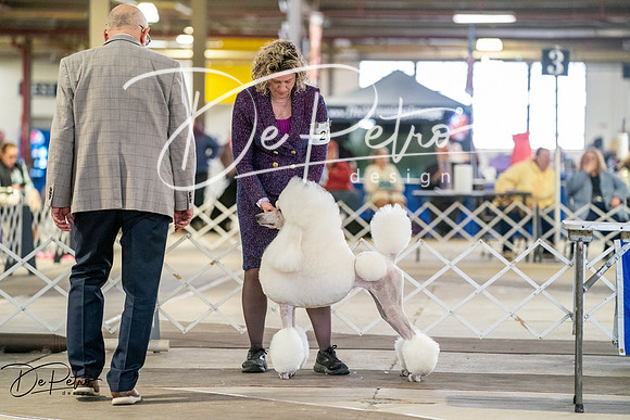 20260328-DSC06656