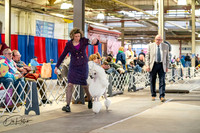 20260328-DSC06678