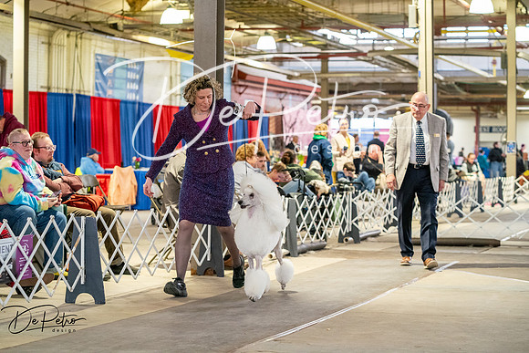 20260328-DSC06678