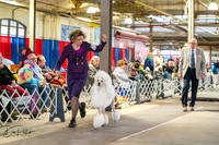20260328-DSC06686