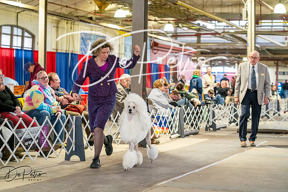 20260328-DSC06686
