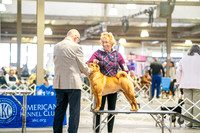 20260328-DSC06740