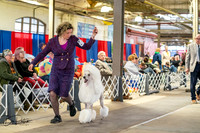 20260328-DSC06694