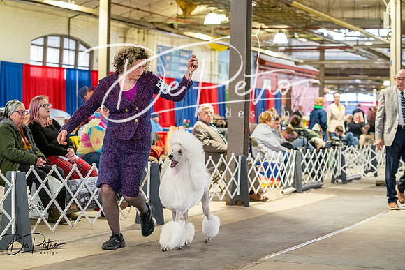 20260328-DSC06694