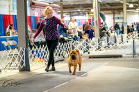 20260328-DSC06745