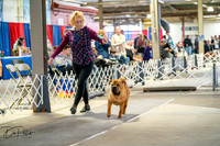 20260328-DSC06746