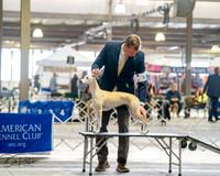 20260328-DSC06829