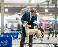 20260328-DSC06841