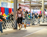 20260328-DSC06856